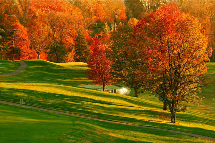 Autumn foliage on a golf course in Kentucky