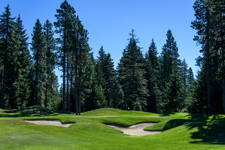 Golf course fairway, sand traps, and green, with evergreen trees
